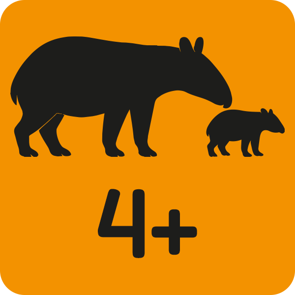Ab 4 Jahren