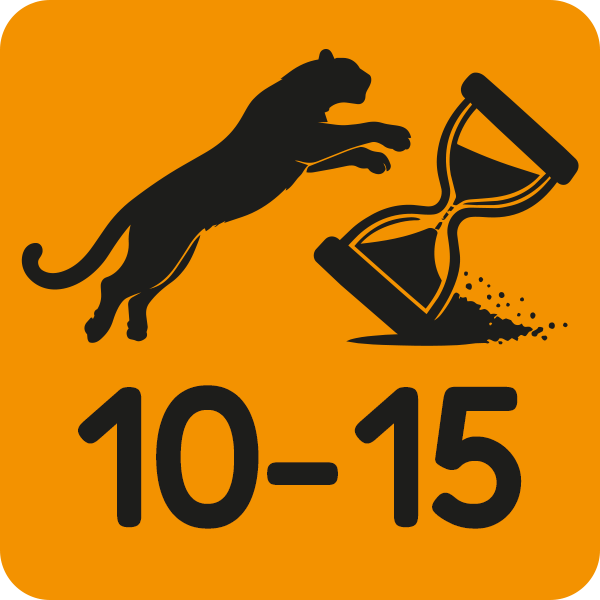 10–15 Minuten Spieldauer